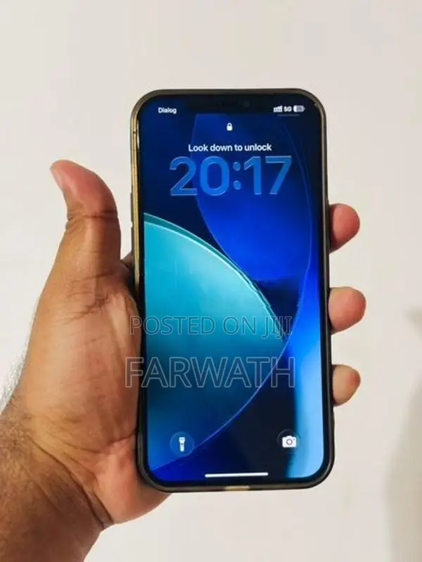 Apple iPhone 12 Pro Max 256GB (Used)