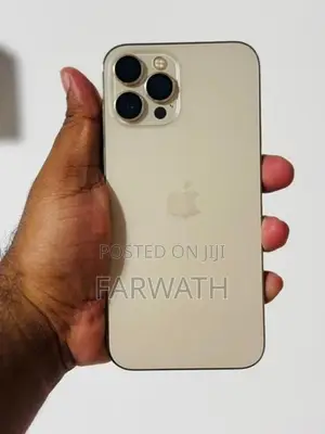 Apple iPhone 12 Pro Max 256GB (Used)