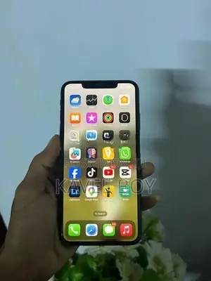 Apple iPhone XS Max 512GB (Used)