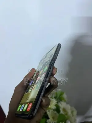 Apple iPhone XS Max 512GB (Used)