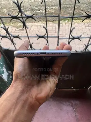 Apple iPhone 11 (Used)