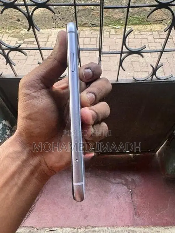 Apple iPhone 11 (Used)