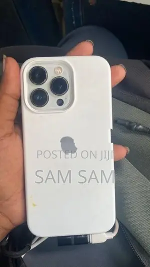Apple iPhone 13 Pro (Used)
