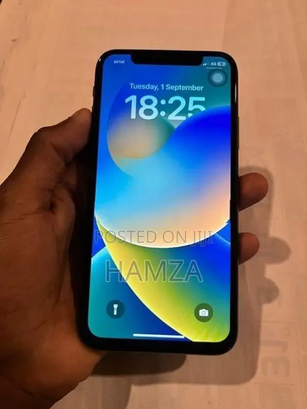 Apple iPhone X (Used)