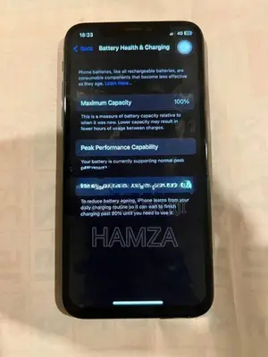 Apple iPhone X (Used)