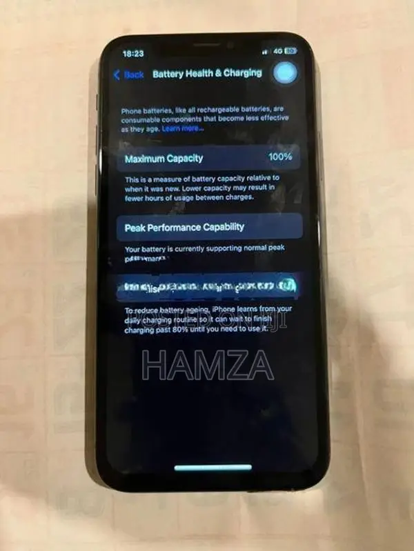 Apple iPhone X (Used)