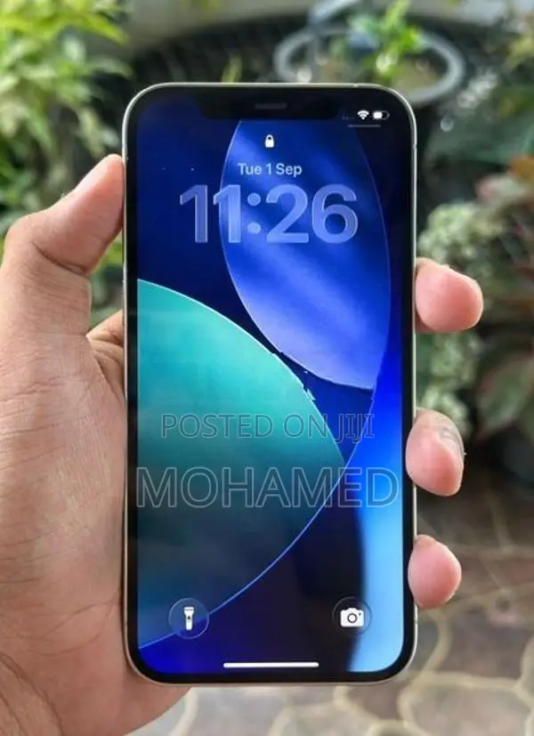 Apple iPhone 12 Pro (Used)