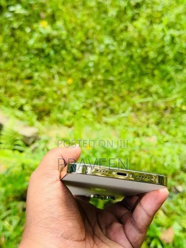 Apple iPhone 12 Pro Max (Used)