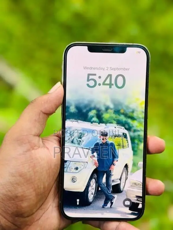 Apple iPhone 12 Pro Max (Used)
