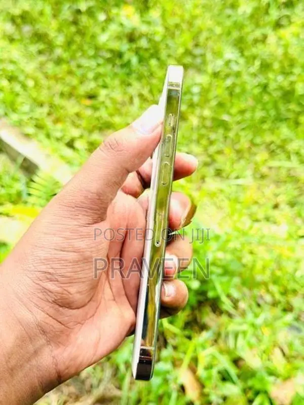 Apple iPhone 12 Pro Max (Used)