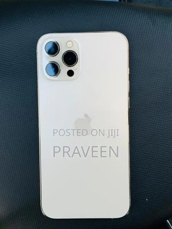 Apple iPhone 12 Pro Max (Used)