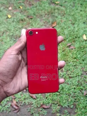 Apple iPhone 8 (Used)
