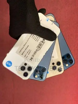 Apple iPhone 12 Pro (Used)
