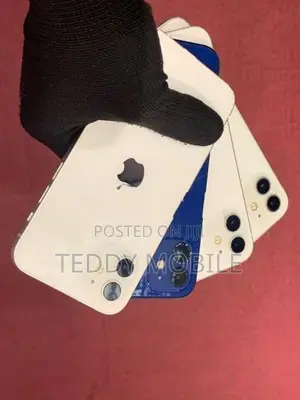 Apple iPhone 12 (Used)