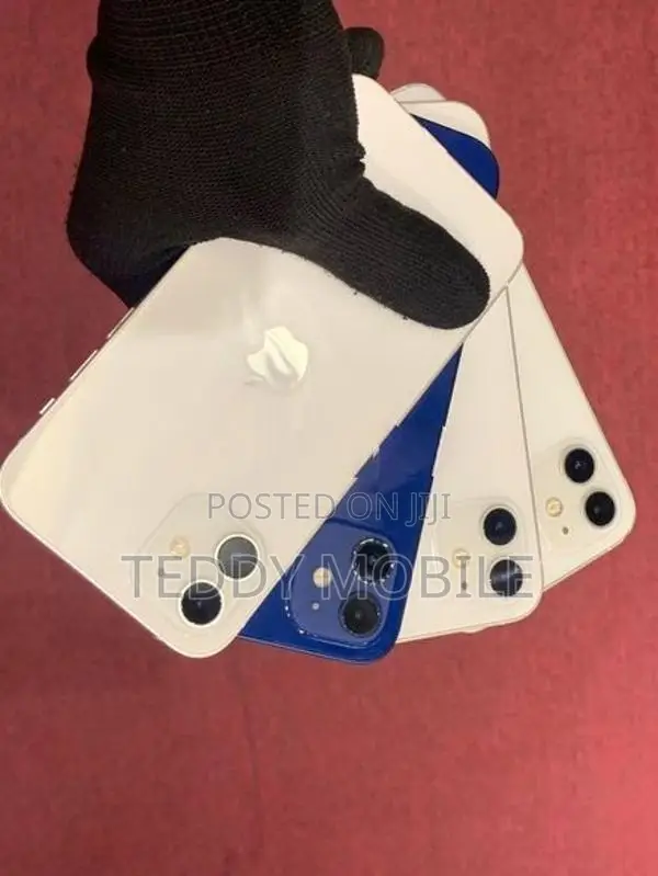 Apple iPhone 12 (Used)