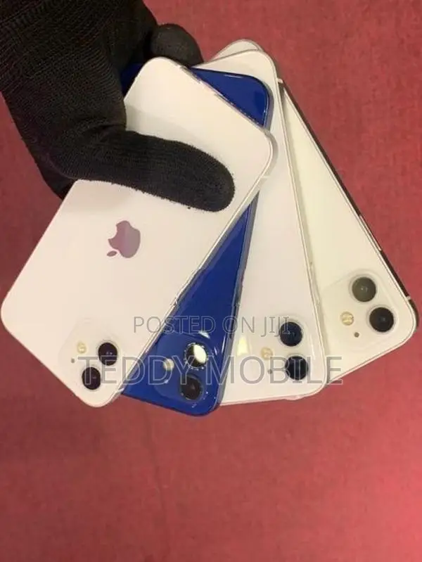 Apple iPhone 12 (Used)