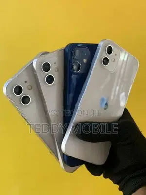 Apple iPhone 12 (Used)