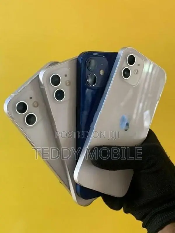 Apple iPhone 12 (Used)