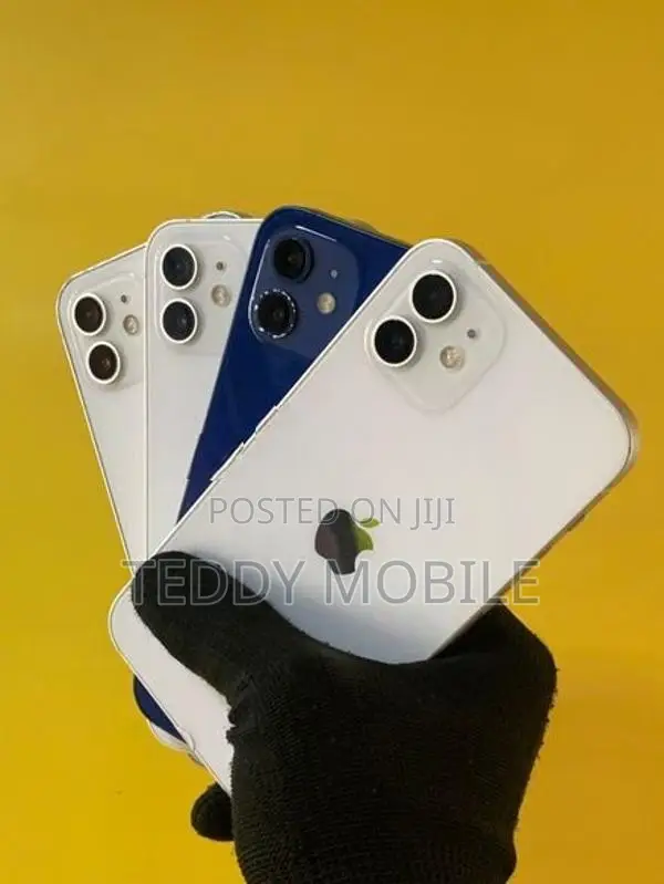 Apple iPhone 12 (Used)