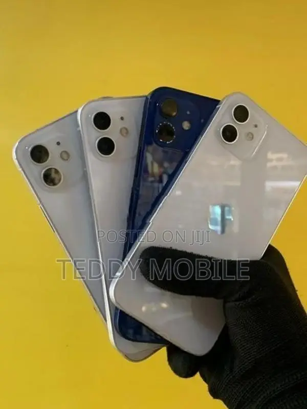 Apple iPhone 12 (Used)