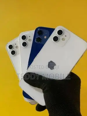Apple iPhone 12 (Used)