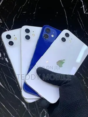 Apple iPhone 12 (Used)