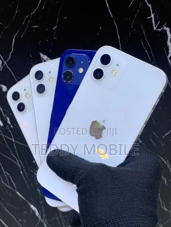 Apple iPhone 12 (Used)