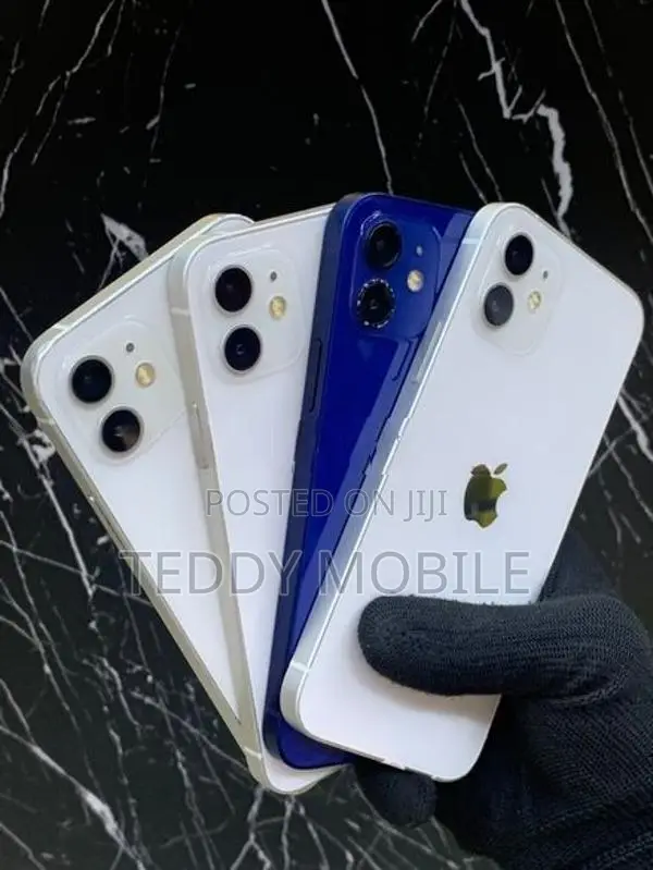 Apple iPhone 12 (Used)