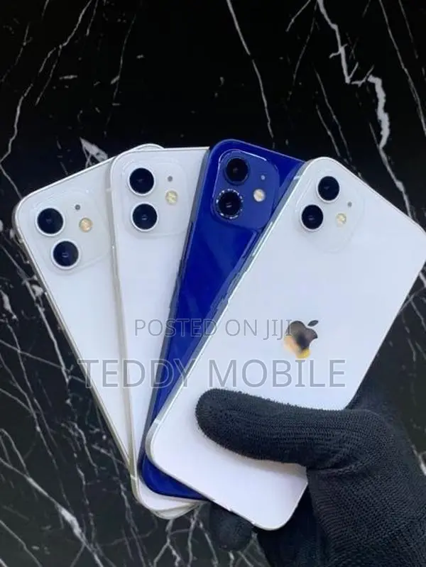 Apple iPhone 12 (Used)