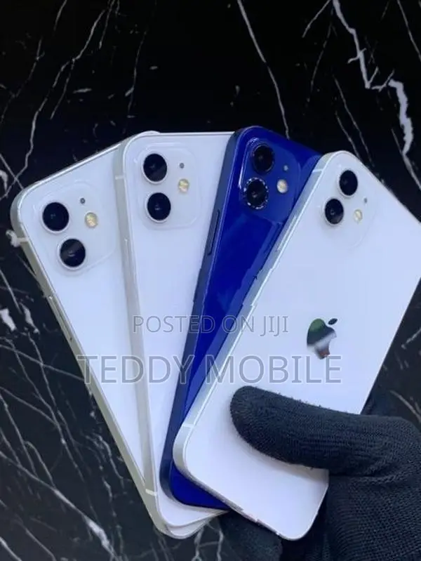 Apple iPhone 12 (Used)