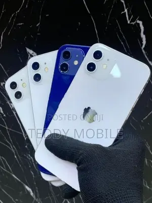 Apple iPhone 12 (Used)