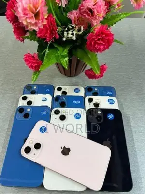 Apple iPhone 13 128GB (Used)