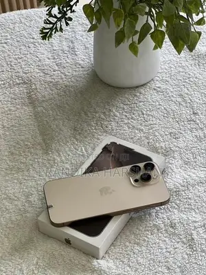 Apple iPhone 16 Pro Max 256GB (Used)