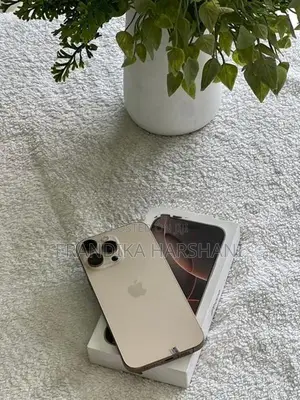 Apple iPhone 16 Pro Max 256GB (Used)