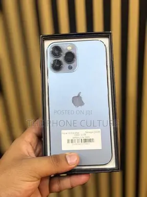 Apple iPhone 13 Pro Max 256GB (Used)