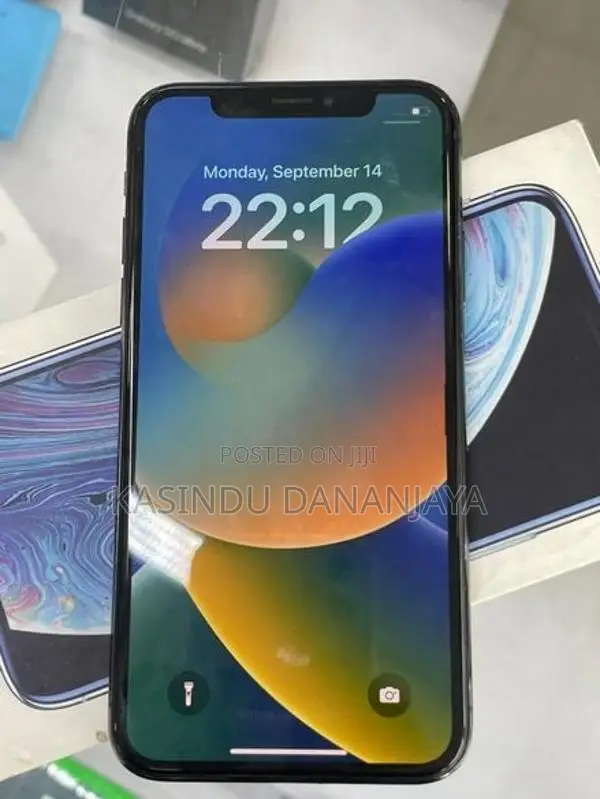 Apple iPhone X IP (Used)