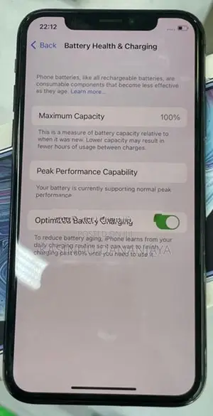 Apple iPhone X IP (Used)