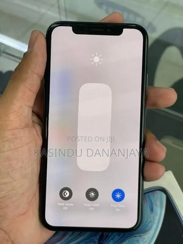 Apple iPhone X IP (Used)