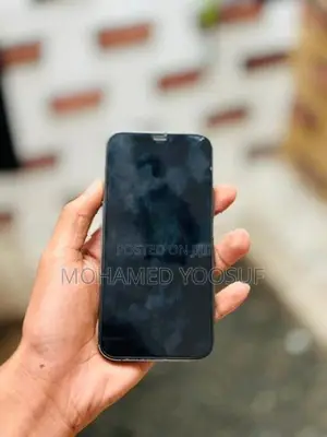 Apple iPhone 12 Pro (Used)