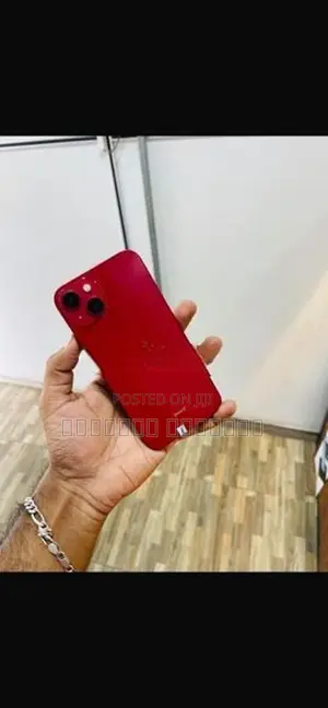 Apple iPhone 13 (Used)