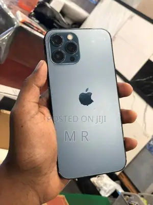 Apple iPhone 12 Pro Max (Used)