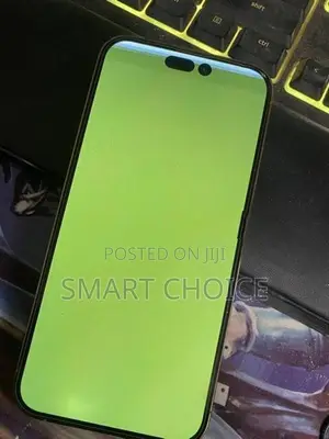Apple iPhone 13 Pro,13 Pro Max Green Screen Repair F9