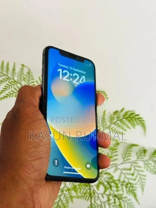 Apple iPhone X (Used)