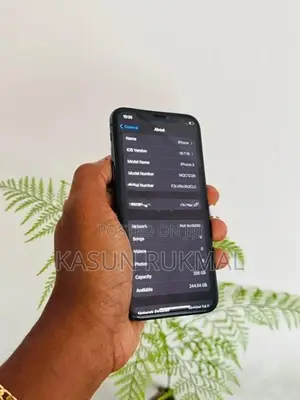 Apple iPhone X (Used)