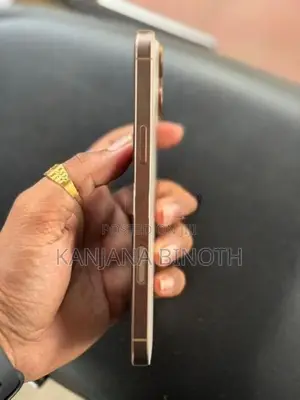 Apple iPhone 16 Pro Max (Used)