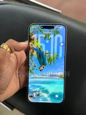 Apple iPhone 16 Pro Max (Used)