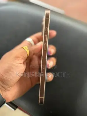 Apple iPhone 16 Pro Max (Used)