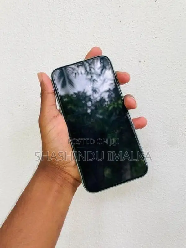 Apple iPhone 11 (Used)