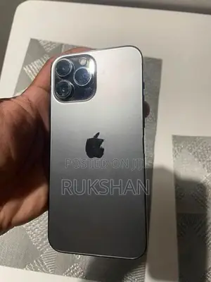 Apple iPhone 13 Pro Max (Used)