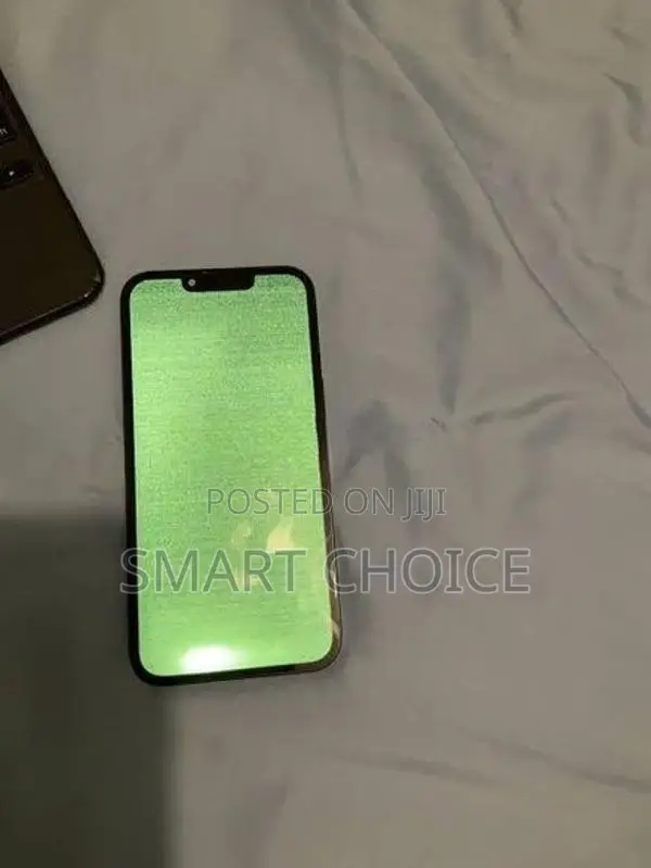 Apple iPhone 13 Pro,13 Pro Max Green Screen Repair Fk
